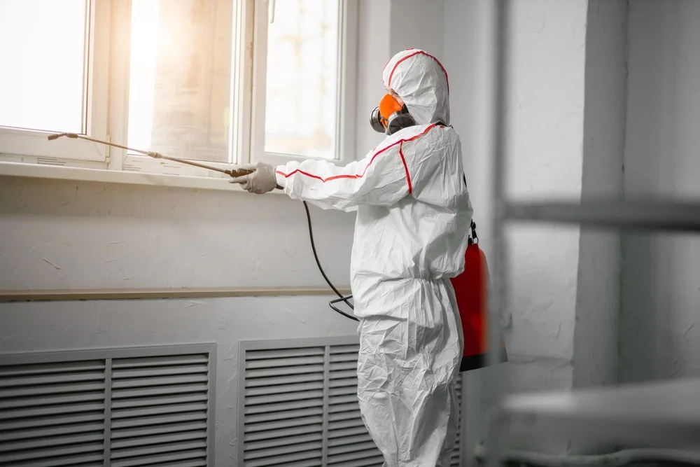 Professional mold remediation services in Saint Bernice, IN